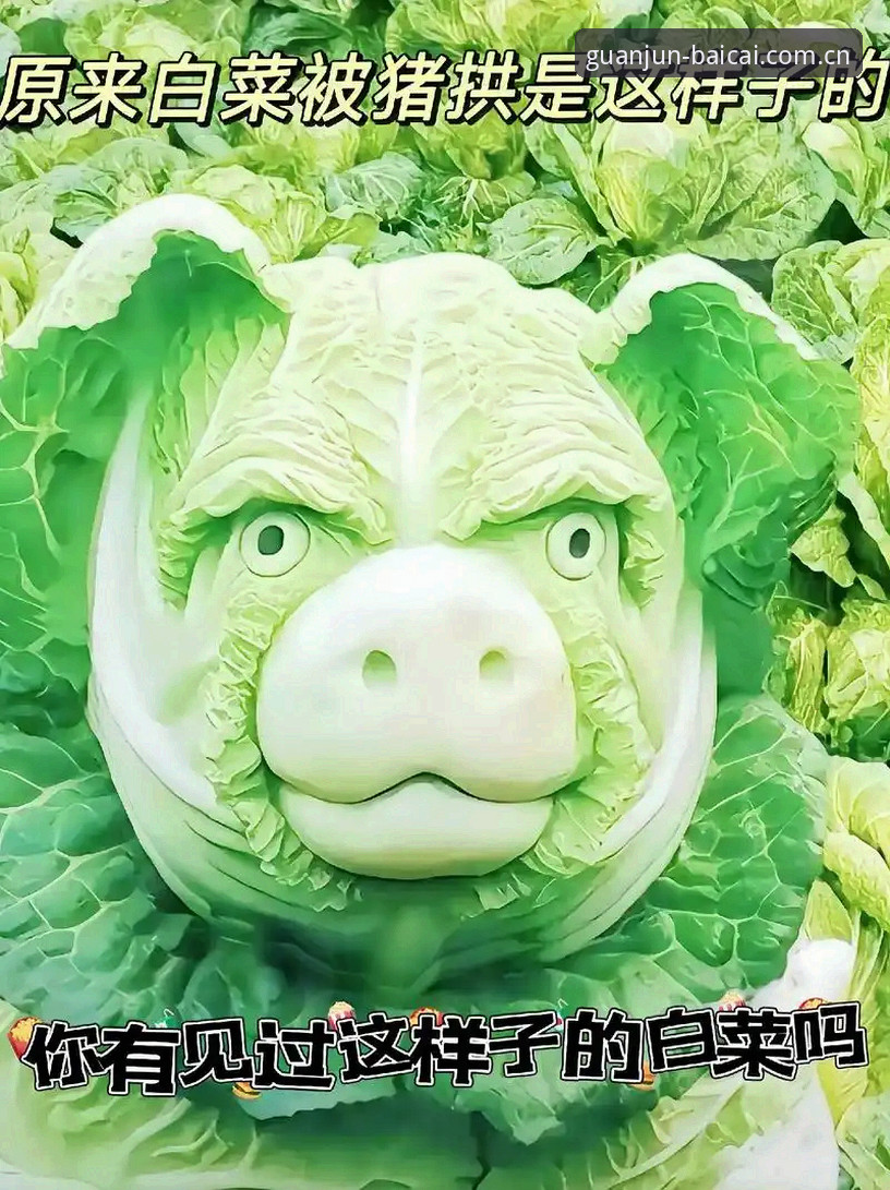 你搜了半小时